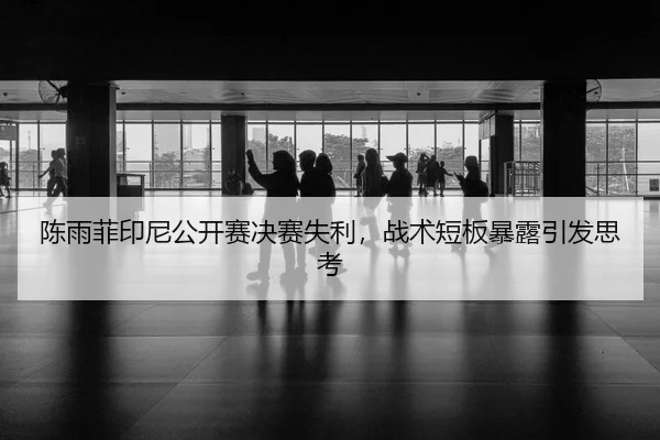 chen-yu-fei-yin-ni-gong-kai-sai-jue-sai-shi-li-zhan-shu-duan-ban-bao-lu-yin-fa-si-kao-3-396.jpg