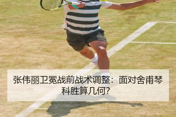 张伟丽卫冕战前战术调整：面对舍甫琴科胜算几何？