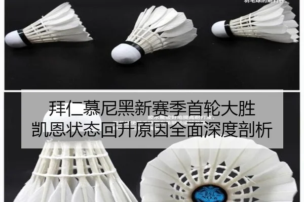 bai-ren-mu-ni-hei-xin-sai-ji-shou-lun-da-sheng-kai-en-zhuang-tai-hui-sheng-yuan-yin-quan-mian-shen-du-pou-xi-2-555.jpg