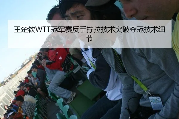 王楚钦WTT冠军赛反手拧拉技术突破夺冠技术细节