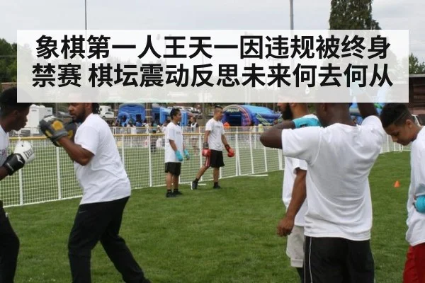 象棋第一人王天一因违规被终身禁赛 棋坛震动反思未来何去何从
